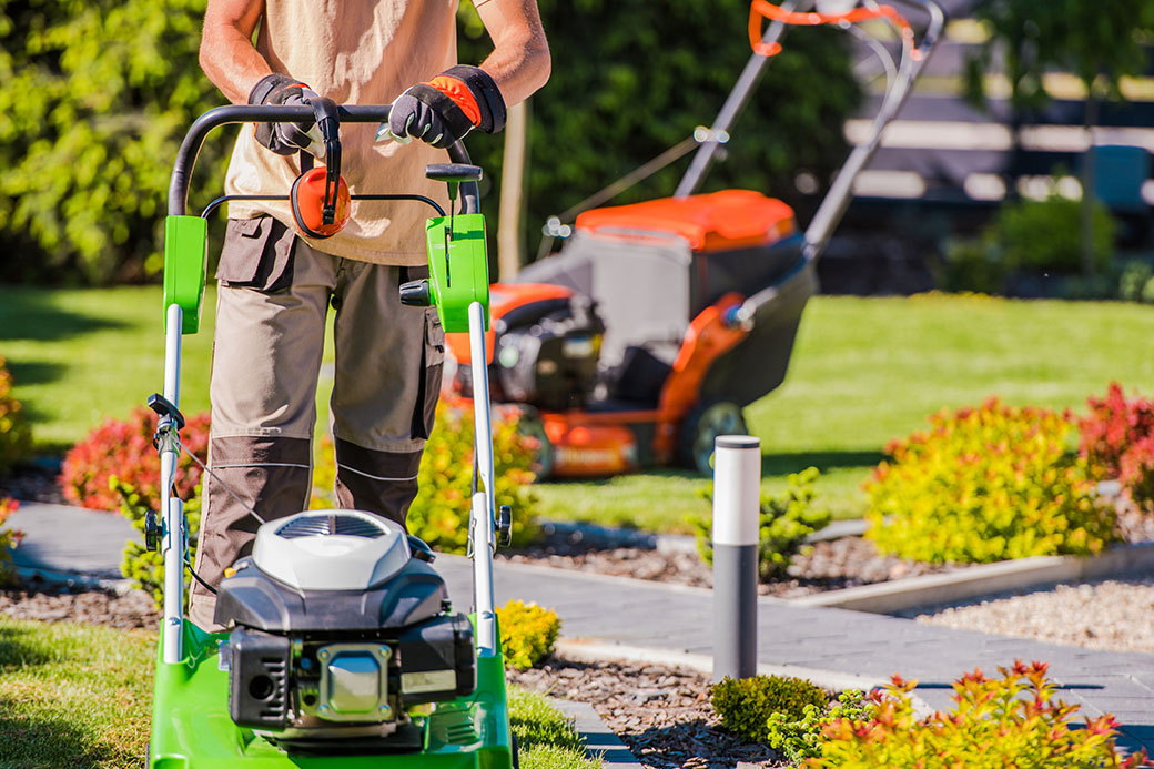 Lawn Care & Maintenance